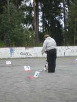  DSC00066.JPG 