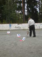  DSC00067.JPG 