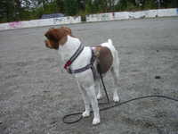  DSC00072.JPG 