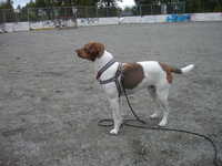  DSC00073.JPG 
