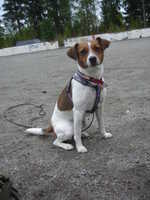  DSC00074.JPG 