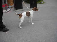  DSC00075.JPG 