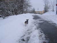  IMG_2690.JPG 