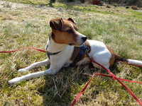  DSC00214.JPG 
