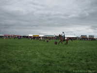  IMG_4415.JPG 