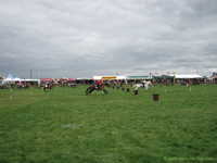  IMG_4421.JPG 