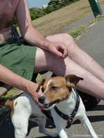 03072010042.JPG 