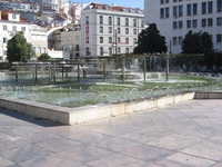  IMG_2272.jpg 
