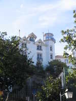  IMG_2343.jpg 
