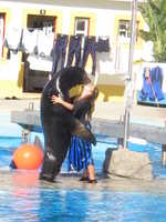 IMG_2424.jpg 