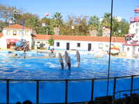  IMG_2427.jpg 