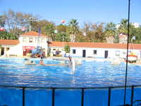  IMG_2428.jpg 