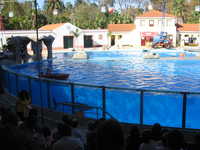 IMG_2429.jpg 