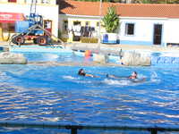  IMG_2440.jpg 