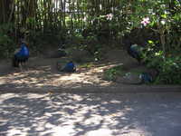  IMG_2498.jpg 