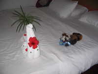  IMG_2571.jpg 