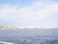  IMG_2587.jpg 