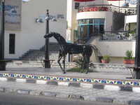  IMG_2602.jpg 