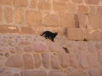  IMG_2663.jpg 