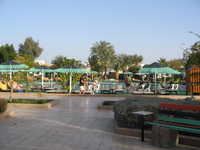  IMG_2671.jpg 