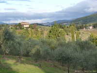  P1020544.JPG 