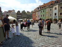  P1040083.JPG 