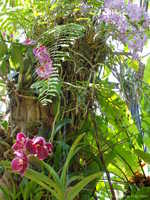  DSC00777.JPG 