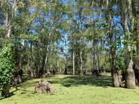  DSC01640.JPG 